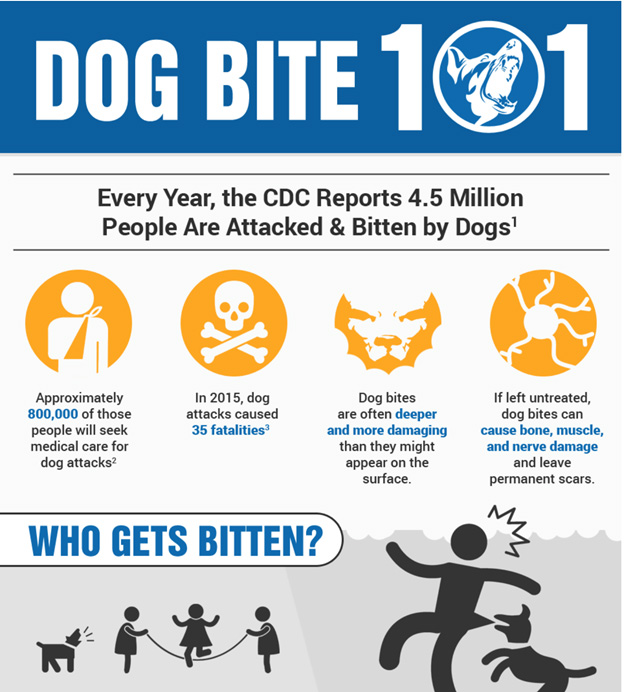Law Firm Infographic Dog Bite Law