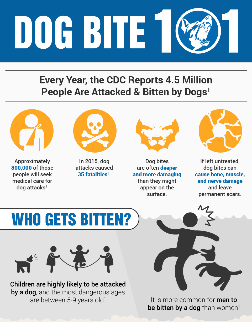 Dog Bite Infographic
